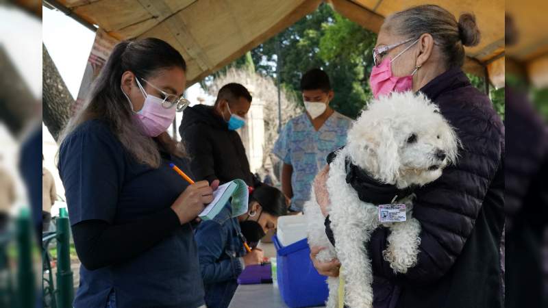 Michoacán, 23 años sin presencia de casos de rabia humana: Sector Salud 