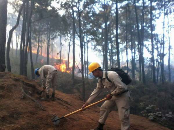 Más de 250 hectáreas de flora y fauna, devastadas por incendio en Uruapan, Michoacán - Foto 0 