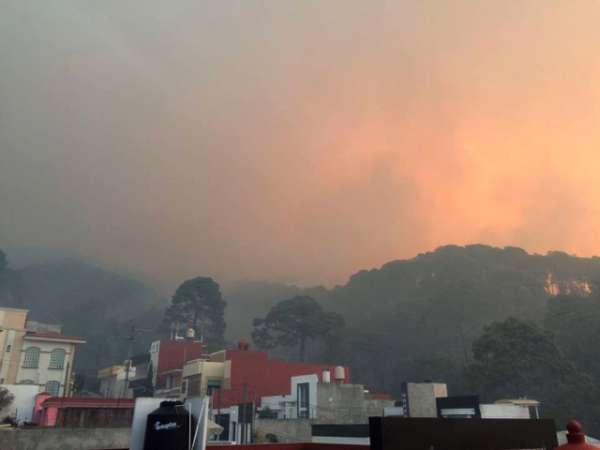 Más de 250 hectáreas de flora y fauna, devastadas por incendio en Uruapan, Michoacán - Foto 2 