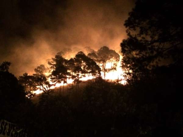 Más de 250 hectáreas de flora y fauna, devastadas por incendio en Uruapan, Michoacán - Foto 3 