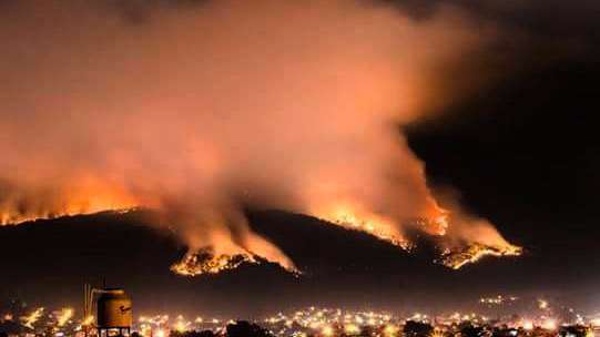 Más de 250 hectáreas de flora y fauna, devastadas por incendio en Uruapan, Michoacán - Foto 4 