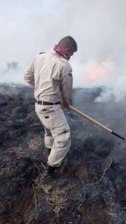 Más de 250 hectáreas de flora y fauna, devastadas por incendio en Uruapan, Michoacán - Foto 9 