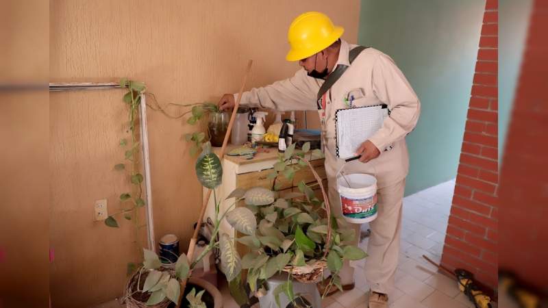 Se mantiene a la baja casos de dengue en Michoacán: Sector Salud 