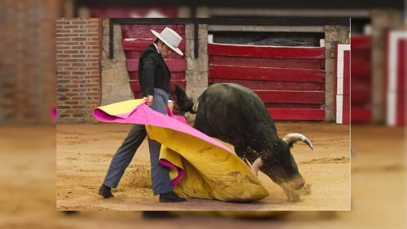 Mirafuentes de Anda, Tato Loaiza, Patricio Ochoa y Enrique de Ayala novillean hoy en Palacio del Arte 