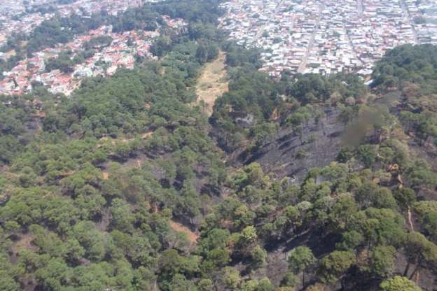 452 combatientes, 6 helicópteros y 475 hectáreas afectadas en el Cerro de la Cruz en Uruapan  - Foto 1 