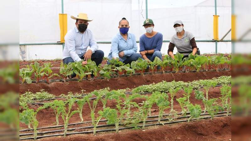 Debe mantenerse la ruta para el fortalecimiento de la vocación agrícola de Michoacán: Julieta Gallardo 