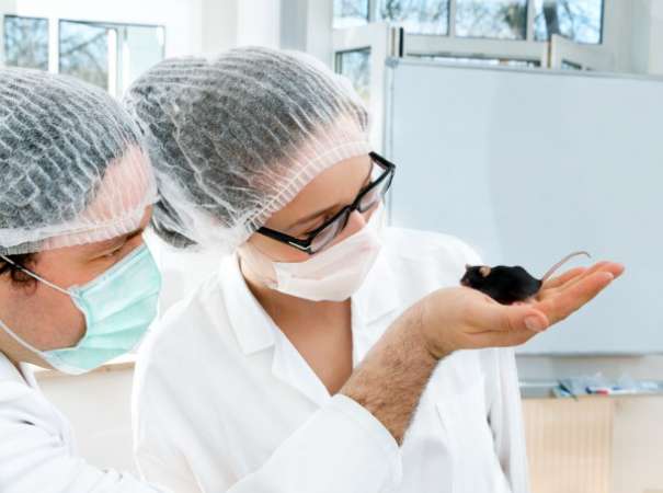 La UMSNH continuará con acciones pro respeto a la vida animal - Foto 3 