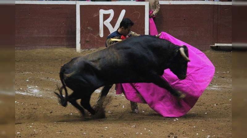 Cerrojazo con broche de oro en el palacio del arte en Morelia, Michoacán, donde se cortaron nueve orejas con toda justicia