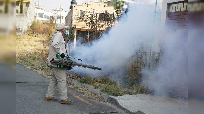 En Michoacán; continúan las acciones contra el mosco transmisor del dengue, zika y chikungunya