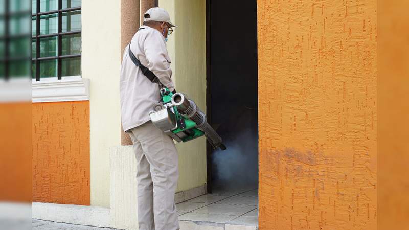 En Michoacán; continúan las acciones contra el mosco transmisor del dengue, zika y chikungunya