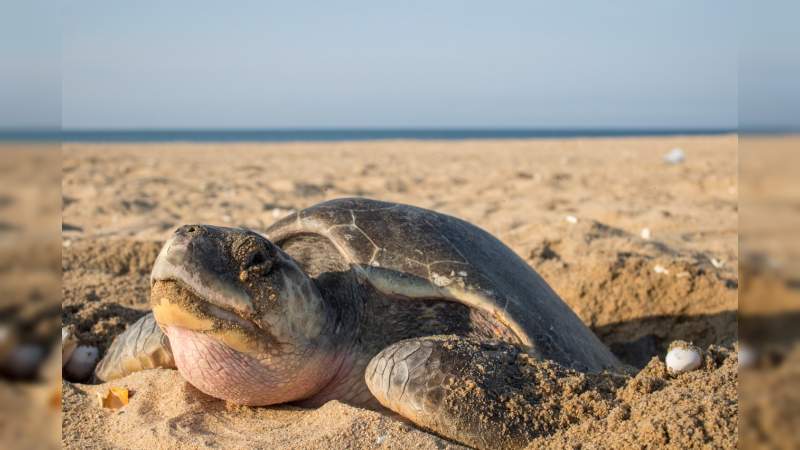 Roberto Monroy pide que las personas que hagan un turismo responsable en la conservación de la naturaleza  