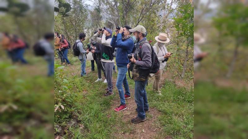 Michoacán, refugio de más de 500 especies de aves 