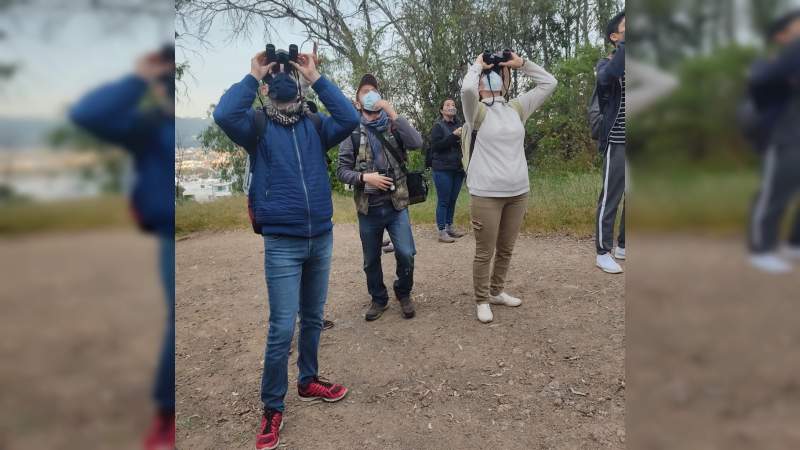 Michoacán, refugio de más de 500 especies de aves 