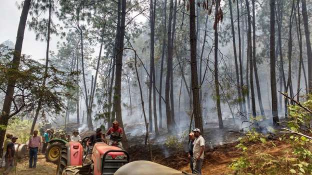 Graves daños por fuego en el cerro de Tancítaro, Michoacán - Foto 0 