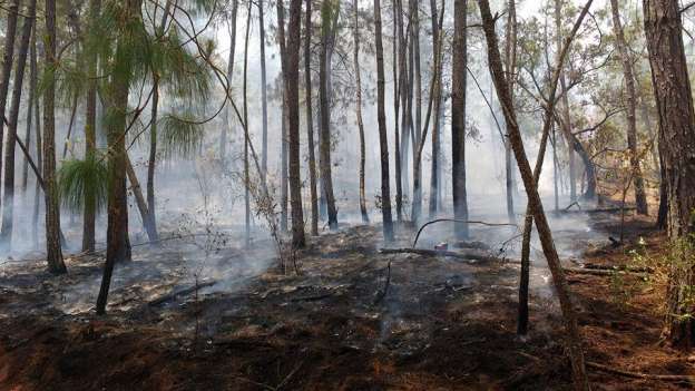 Graves daños por fuego en el cerro de Tancítaro, Michoacán - Foto 1 