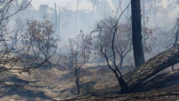 Graves daños por fuego en el cerro de Tancítaro, Michoacán - Foto 2 