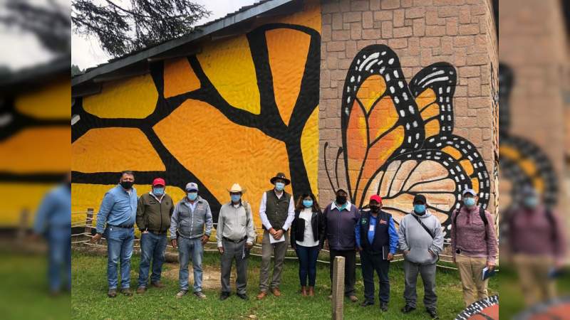 Dan mantenimiento a Santuarios de la Mariposa Monarca