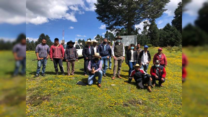 Dan mantenimiento a Santuarios de la Mariposa Monarca