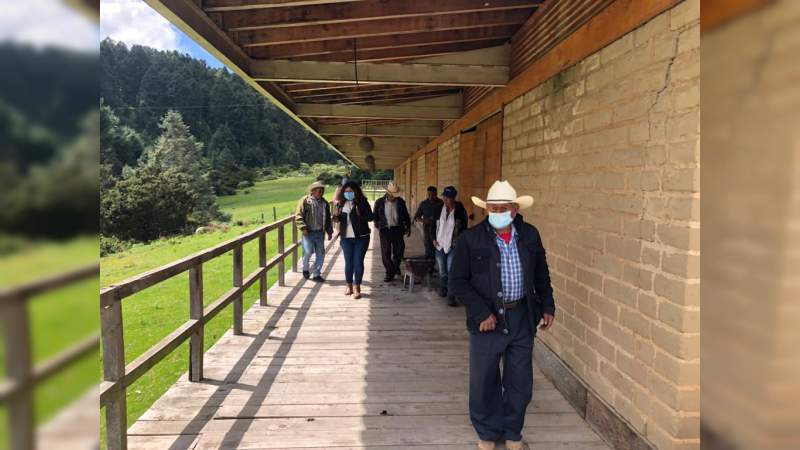 Dan mantenimiento a Santuarios de la Mariposa Monarca