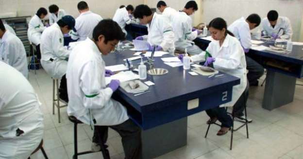 Abre proceso de inscripción para la Olimpiada Estatal de Biología en Michoacán - Foto 0 