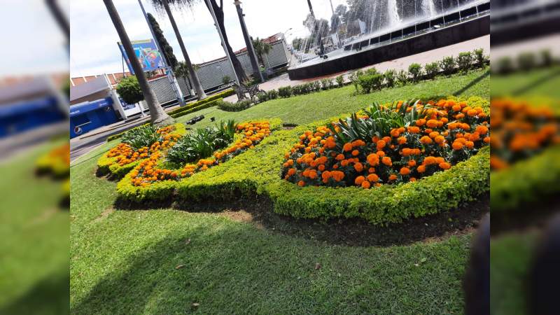 Parques y Jardines de Uruapan trabaja en instalación de plantas de cempasúchil 