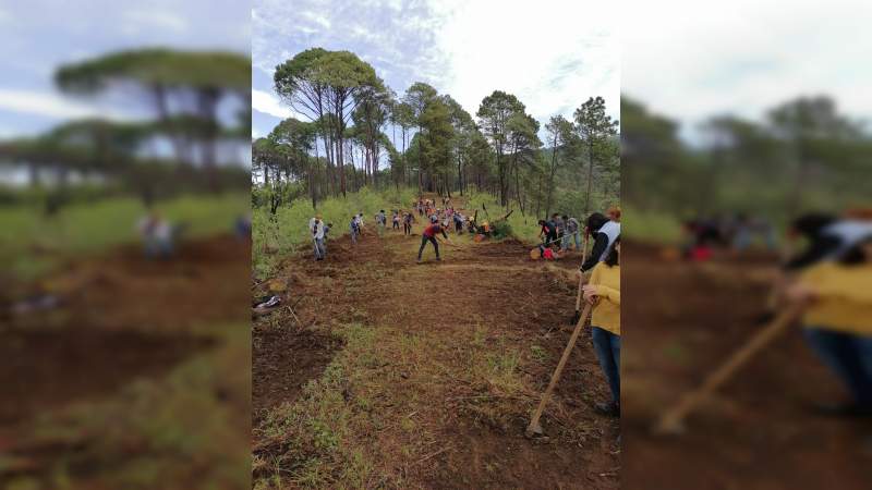 Rehabilitación y mantenimiento de brechas cortafuego en el cerro de la Cruz de Uruapan, Muchoacán 