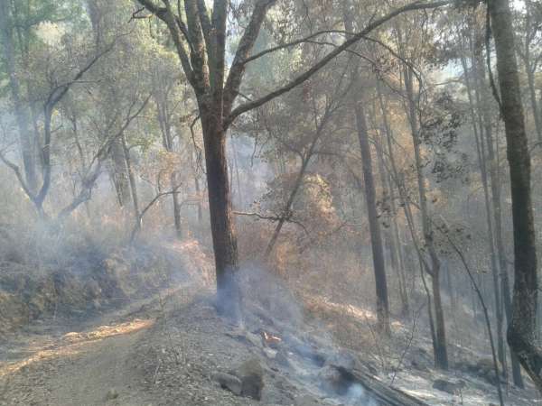 Coadyuva Gobierno Municipal para combatir incendio forestal del Cerro del Águila 