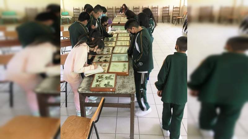 En Uruapan, Michoacán, imparten educación ambiental en la ESFU 2