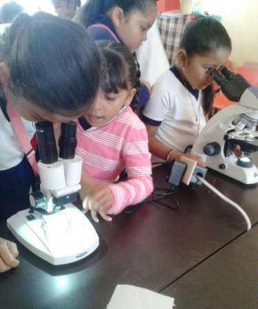 Realiza Secretaría de Educación en Michoacán actividades científicas para la inclusión educativa - Foto 0 