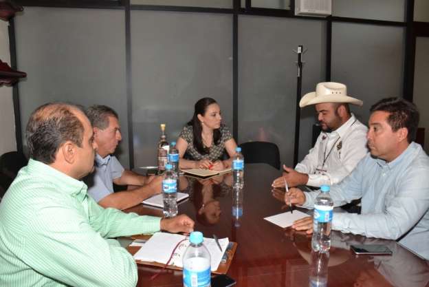 Productores michoacanos de mezcal se reúnen con diputados para concretar apoyos - Foto 0 