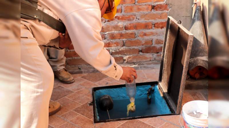 A la baja casos de dengue en Michoacán: SSM 