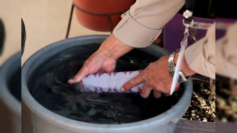 A la baja casos de dengue en Michoacán: SSM 