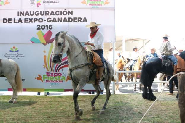 El gobierno estatal impulsará de manera especial a los ganaderos - Foto 2 