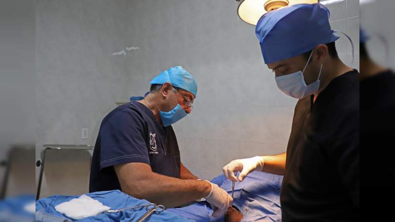 Vasectomía, método anticonceptivo seguro y práctico para hombres: SSM 