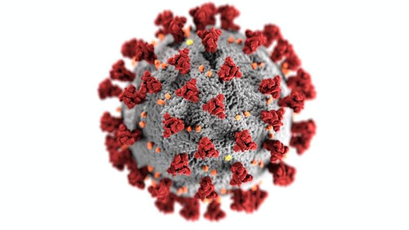 Variante Ómicron del Covid-19 llega a América 