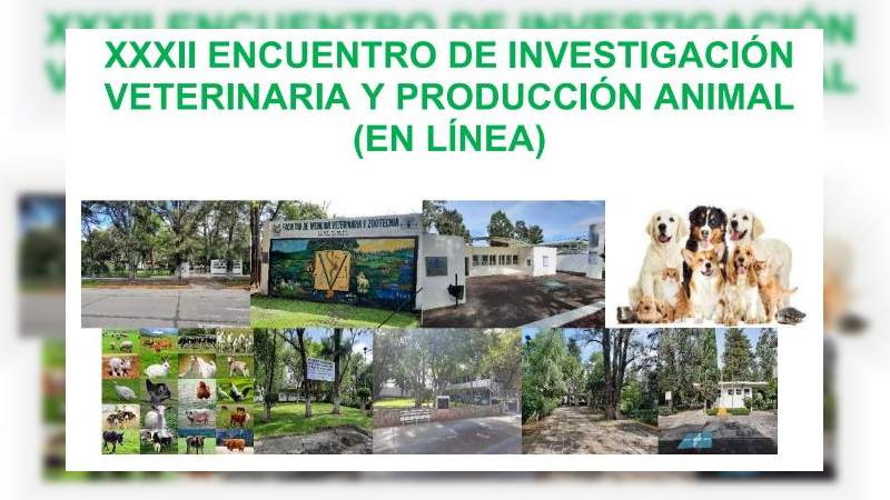 Realizará UMSNH encuentro de Investigación Veterinaria y Producción Animal  