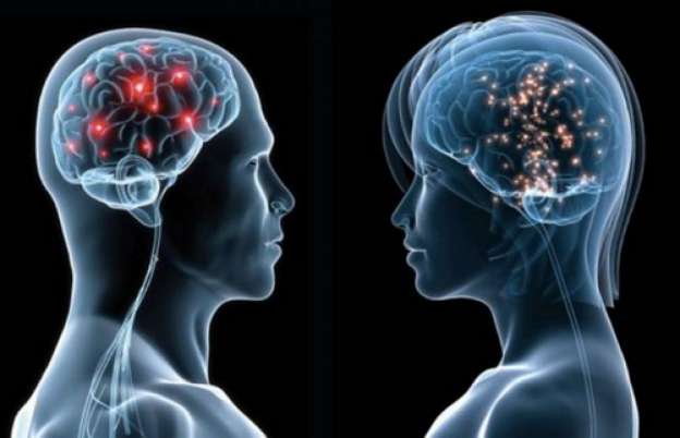 Estudio revela que el  atractivo reside en el cerebro  