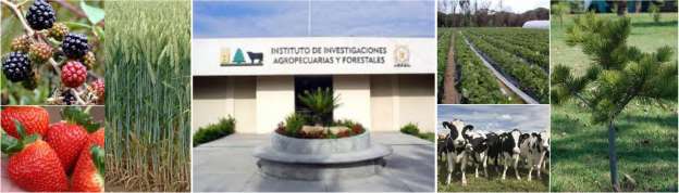 Instituto de Investigaciones Agropecuarias ofrece doctorado en Ciencias Biológicas 