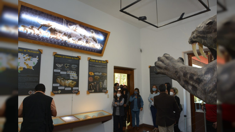 Anuncia UMSNH reapertura del Museo de Historia Natural 