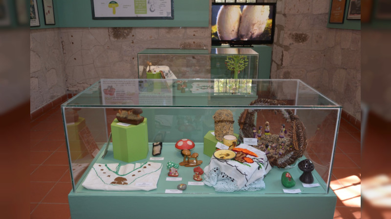 Anuncia UMSNH reapertura del Museo de Historia Natural 