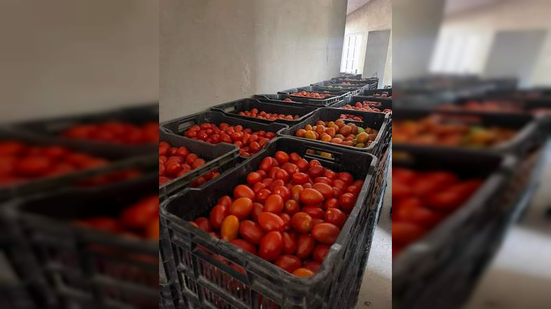 Por escasez y heladas el jitomate sigue teniendo precio alto: comerciantes 