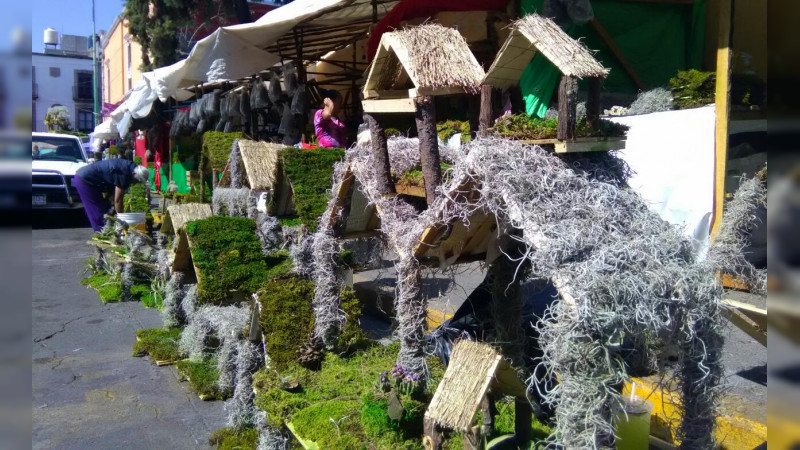 Es posible cuidar el medio ambiente y seguir con tradiciones navideñas: comerciante