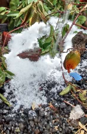 Vientos, lluvia, granizo con los acordes las mañanitas - Foto 4 