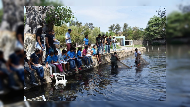 Logran investigadores de la UMSNH rescatar especie de la extinción