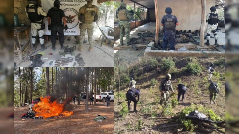 Desmantelan once campamentos del crimen organizado, en 6 días en Michoacán 