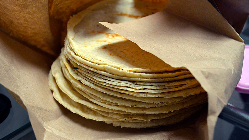Aumentará el precio de la tortilla en febrero 