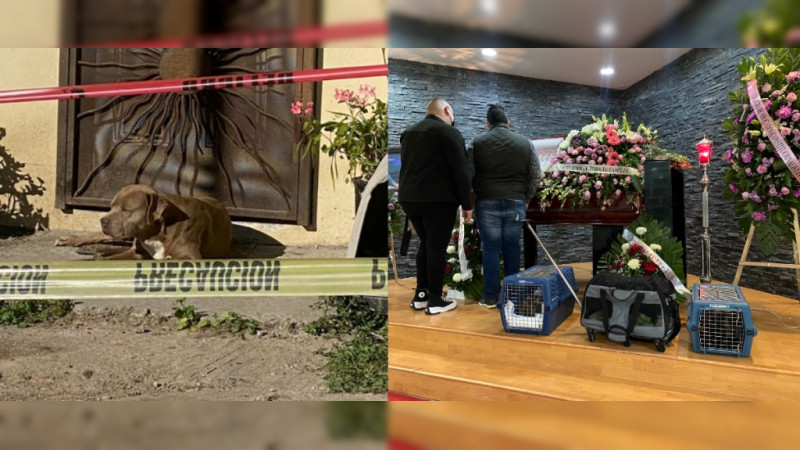 Comparten fotos del funeral de Lourdes Maldonado: Sus mascotas también le dieron el último adiós 