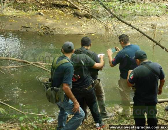 13 ejecutados en una semana en Michoacán - Foto 4 