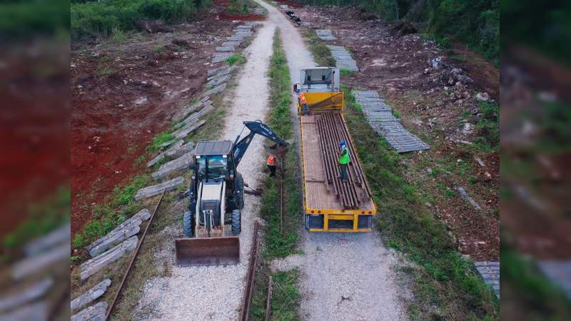 Senadora denuncia ante FGR tala de 20 mil árboles por obras del Tren Maya 