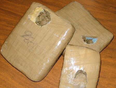 Localizan 12 kilos de marihuana en agencia de paquetería en Maravatío, Michoacán 